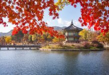 Du lịch Hàn Quốc mùa thu 
