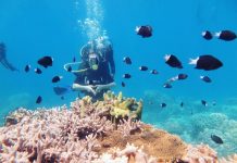 Du lịch Phú Quốc - Lặn ngắm san hô tại công viên san hô