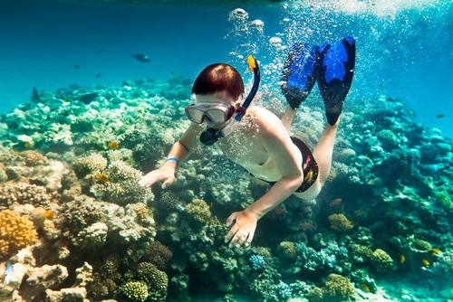 Du lịch Phú Quốc - Lặn biển ngắm san hô