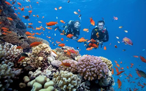 Du lịch Phú Quốc - Lặn ngắm san hô tại Quần Đảo An Thới