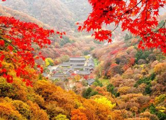 Bật mí những kinh nghiệm du lịch Hàn Quốc vào mùa Thu