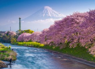 06 điểm du lịch Nhật Bản sôi động đành cho dân mê phượt