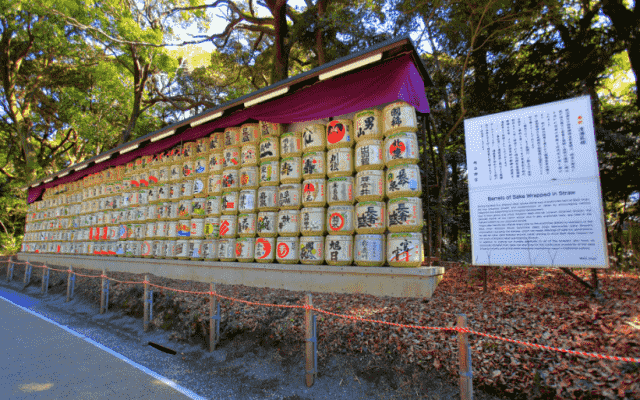 Vẻ đẹp của đền Meiji Jingu - ngôi đền cổ linh thiêng tại Nhật Bản